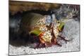 Photographic Print
