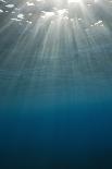 Sunbeams Filtering through the Ocean Surface-Reinhard Dirscherl-Photographic Print
