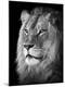 Premium Photographic Print