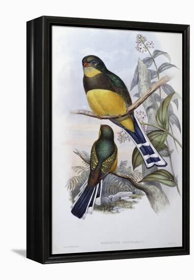 Reinwardt's Trogon-John Gould-Framed Premier Image Canvas