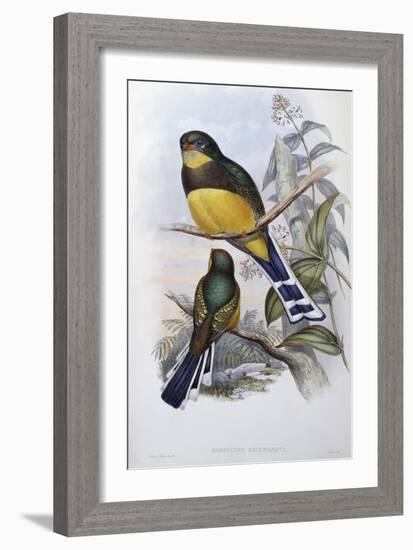 Reinwardt's Trogon-John Gould-Framed Giclee Print