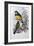 Reinwardt's Trogon-John Gould-Framed Giclee Print