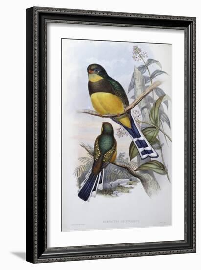 Reinwardt's Trogon-John Gould-Framed Giclee Print