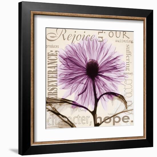 Rejoice, Violet Chrysanthemum-Albert Koetsier-Framed Art Print