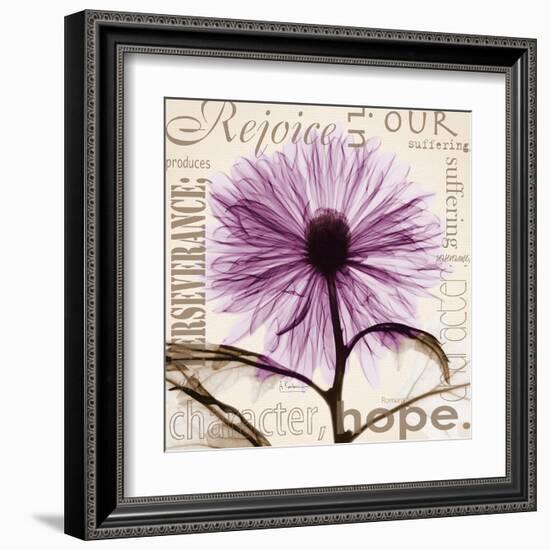 Rejoice, Violet Chrysanthemum-Albert Koetsier-Framed Art Print