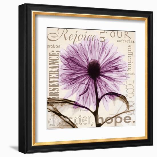 Rejoice, Violet Chrysanthemum-Albert Koetsier-Framed Art Print