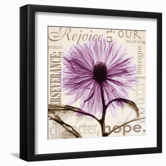 Rejoice, Violet Chrysanthemum-Albert Koetsier-Framed Art Print