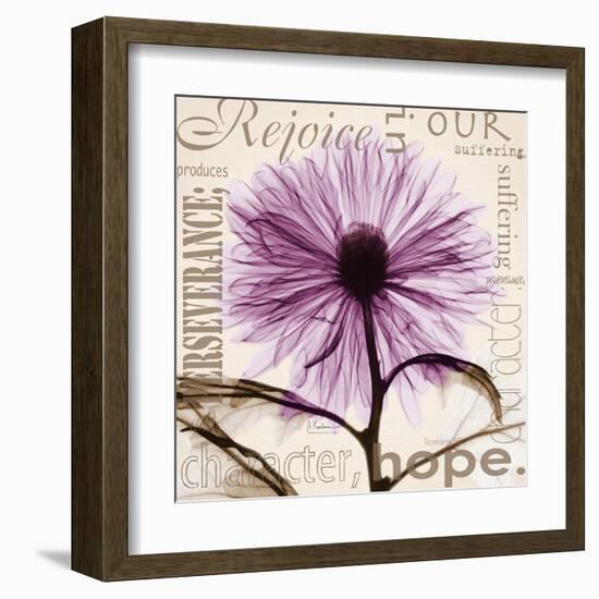 Rejoice, Violet Chrysanthemum-Albert Koetsier-Framed Art Print