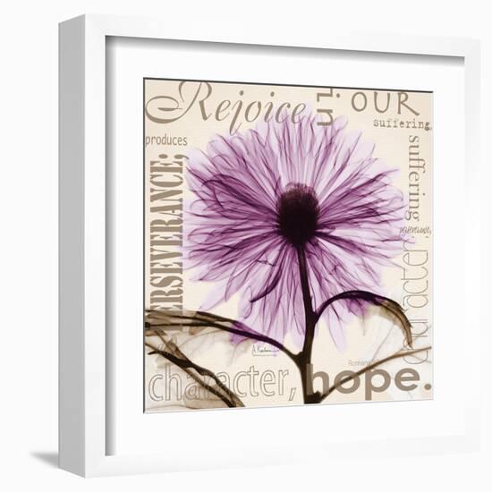 Rejoice, Violet Chrysanthemum-Albert Koetsier-Framed Art Print