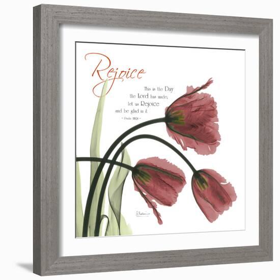 Rejoicing Tulips-Albert Koetsier-Framed Photographic Print