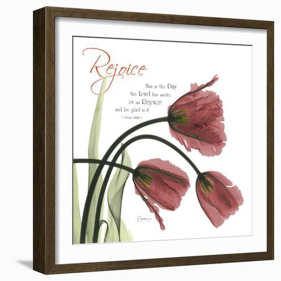 Rejoicing Tulips-Albert Koetsier-Framed Photographic Print