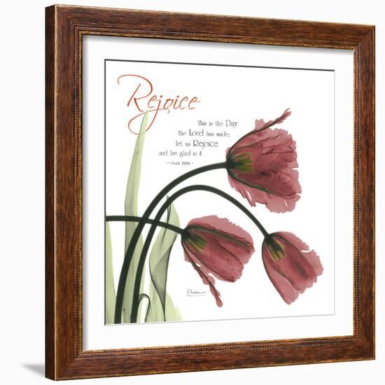 Rejoicing Tulips-Albert Koetsier-Framed Photographic Print