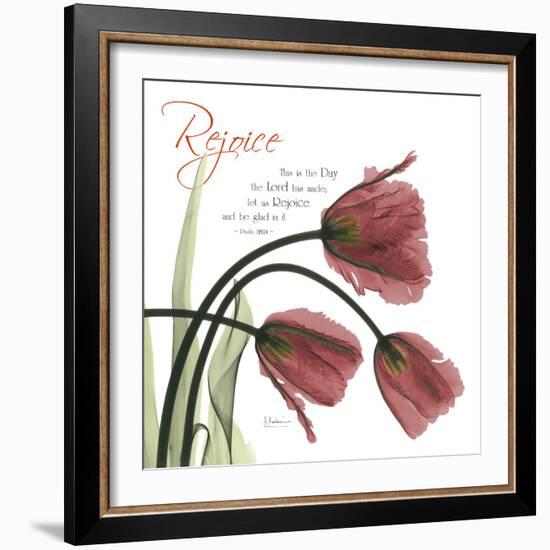 Rejoicing Tulips-Albert Koetsier-Framed Photographic Print