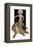 Relativity-F.x. Leyendecker-Framed Stretched Canvas