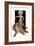 Relativity-F.x. Leyendecker-Framed Art Print