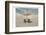 Relax and Breath-Sheldon Lewis-Framed Photographic Print