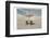 Relax and Breath-Sheldon Lewis-Framed Photographic Print