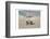 Relax and Breath-Sheldon Lewis-Framed Photographic Print