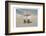 Relax and Breath-Sheldon Lewis-Framed Photographic Print