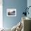 Relax: Lemonade-Nicole Katano-Framed Photo displayed on a wall