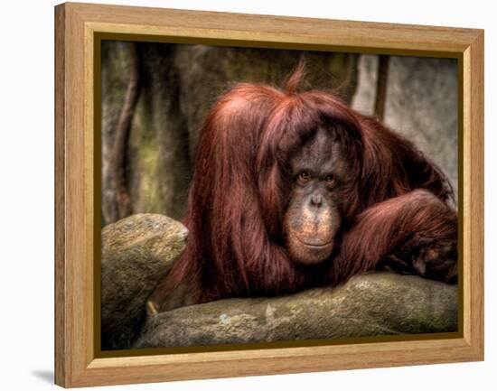 Relax-Stephen Arens-Framed Premier Image Canvas