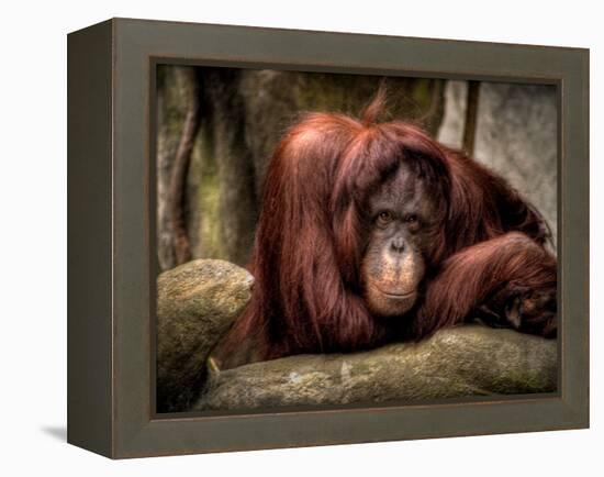 Relax-Stephen Arens-Framed Premier Image Canvas