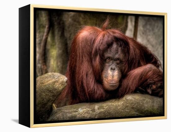 Relax-Stephen Arens-Framed Premier Image Canvas