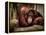 Relax-Stephen Arens-Framed Premier Image Canvas