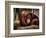 Relax-Stephen Arens-Framed Photographic Print