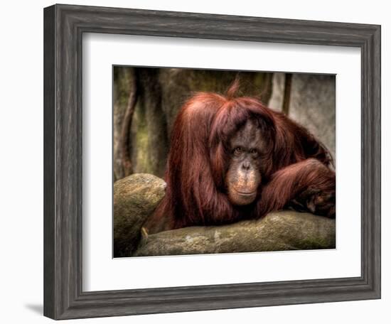 Relax-Stephen Arens-Framed Photographic Print