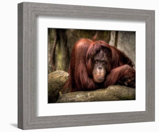 Relax-Stephen Arens-Framed Photographic Print