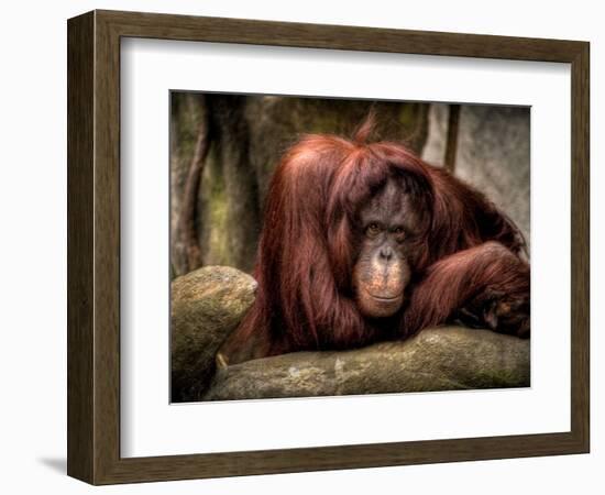 Relax-Stephen Arens-Framed Photographic Print