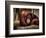 Relax-Stephen Arens-Framed Photographic Print