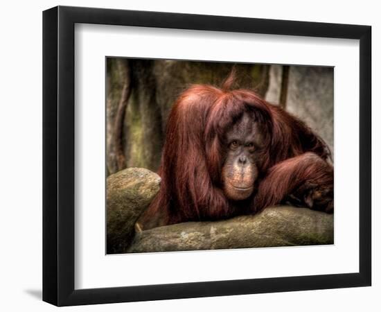 Relax-Stephen Arens-Framed Photographic Print