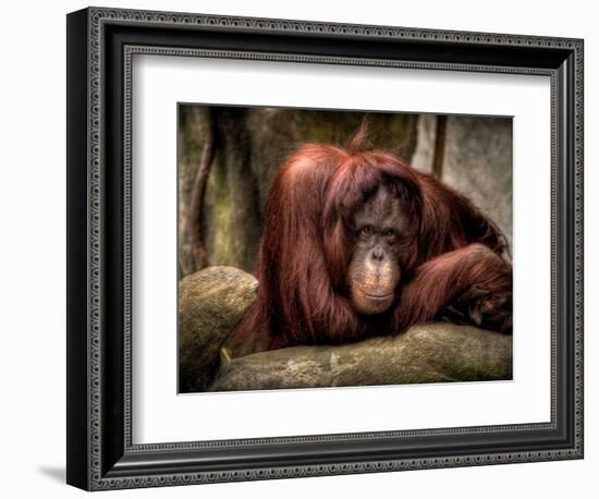 Relax-Stephen Arens-Framed Photographic Print