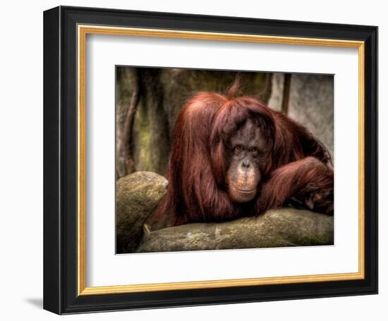 Relax-Stephen Arens-Framed Photographic Print