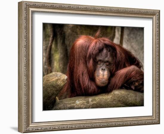 Relax-Stephen Arens-Framed Photographic Print