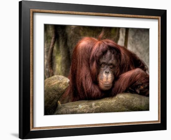 Relax-Stephen Arens-Framed Photographic Print