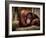 Relax-Stephen Arens-Framed Photographic Print