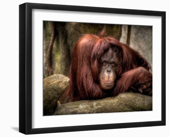 Relax-Stephen Arens-Framed Photographic Print