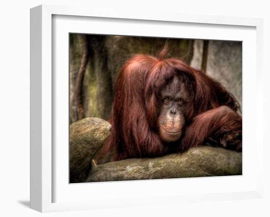 Relax-Stephen Arens-Framed Photographic Print