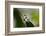 Relaxed ll-Heidi Westum-Framed Photographic Print