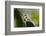 Relaxed ll-Heidi Westum-Framed Photographic Print