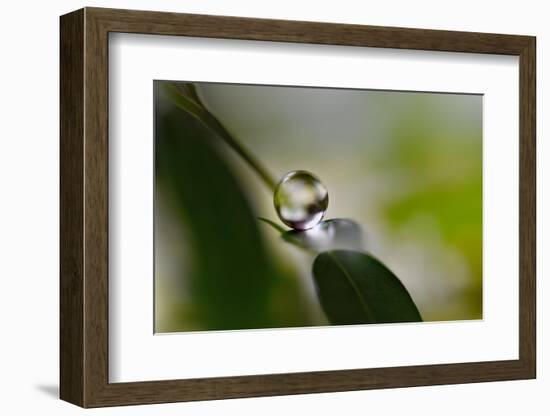 Relaxed ll-Heidi Westum-Framed Photographic Print