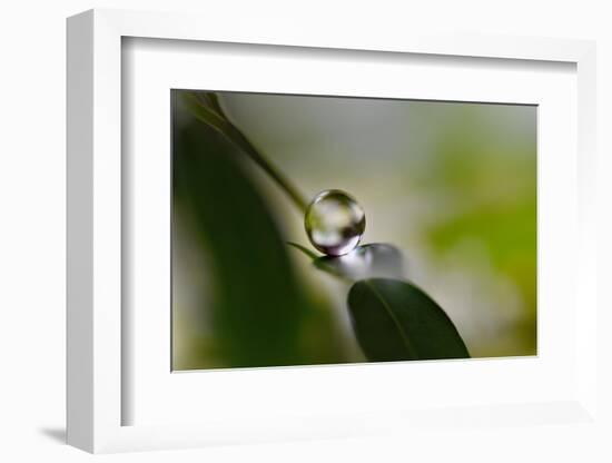 Relaxed ll-Heidi Westum-Framed Photographic Print