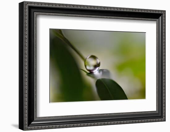 Relaxed ll-Heidi Westum-Framed Photographic Print