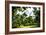 Relaxing day at Central Park-Philippe Hugonnard-Framed Giclee Print