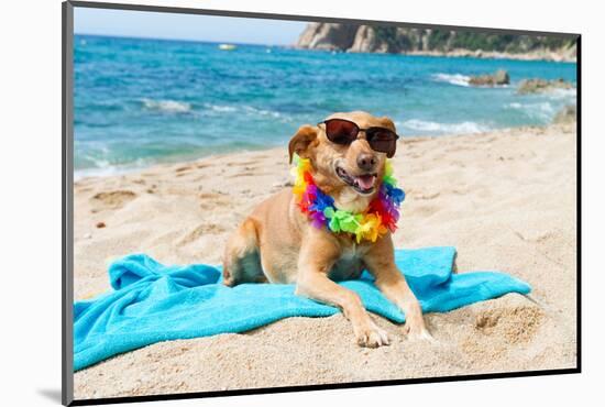 Relaxing Dog At The Beach With Flowers Garland-Ivonnewierink-Mounted Photographic Print