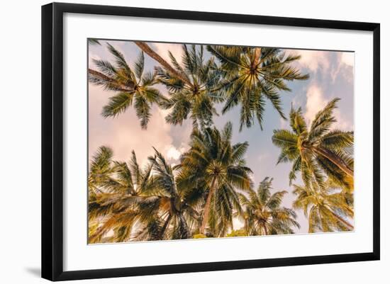 Photo, , large