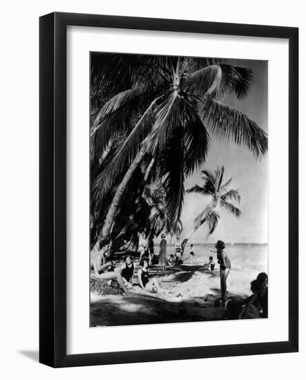 Relaxing under the Palms at Tahiti Beach, Coral Gables, Florida, March 23Rd, 1926-null-Framed Photographic Print